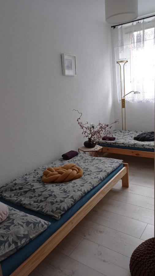 Mirsk Babcares Apa Gory Izerskie 아파트 외부 사진
