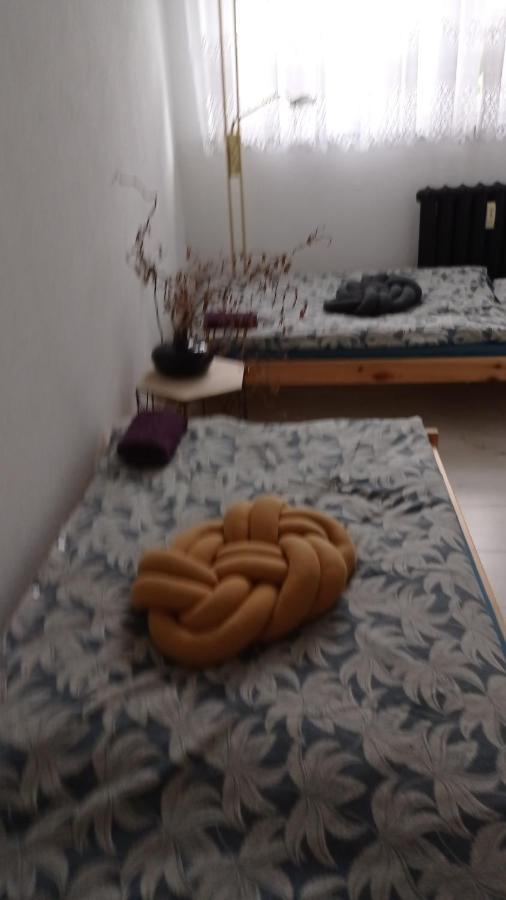 Mirsk Babcares Apa Gory Izerskie 아파트 외부 사진
